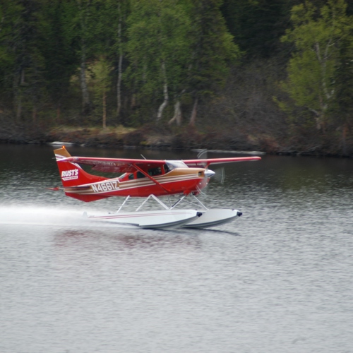 Alaska in the Wild 2007