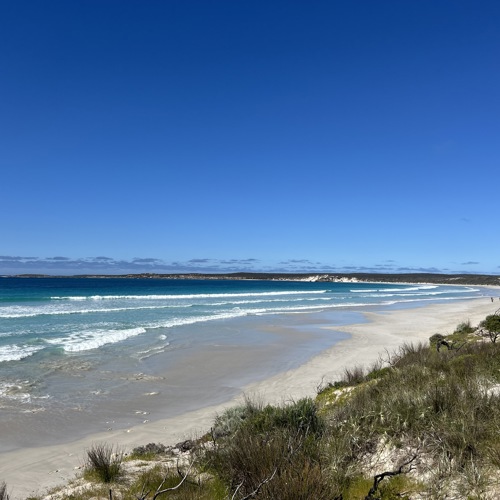 Kangaroo Island and Barossa Valley