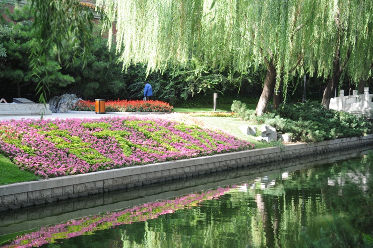 So beautiful in this city