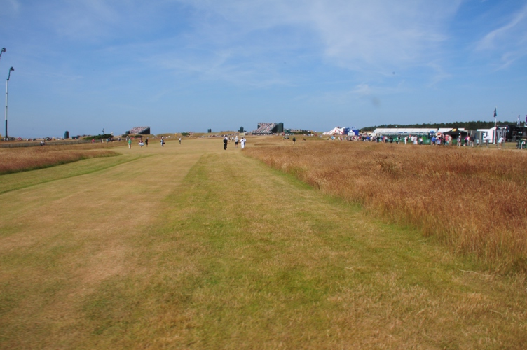 Never find a ball in that grass