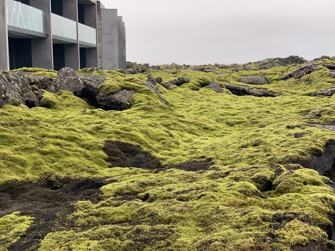 Outside Blue Lagoon Hotel - amazing
