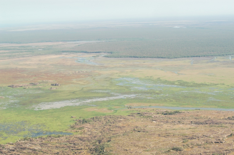 Mt Borradaile Day 3 194
