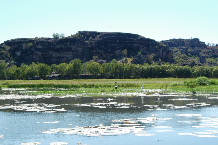 Mt Borradaile is an amazing place