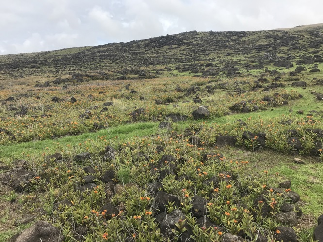 Tell me they rolled the