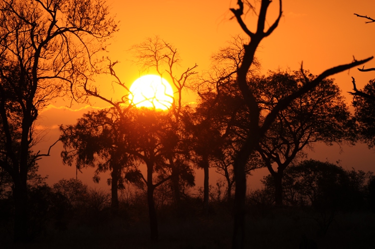 Sunset at Sabi Sabi reserve