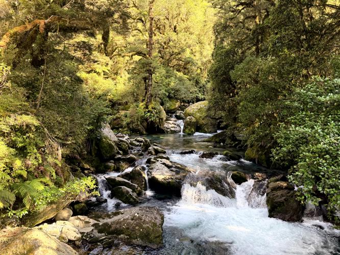 So many photo opportunities