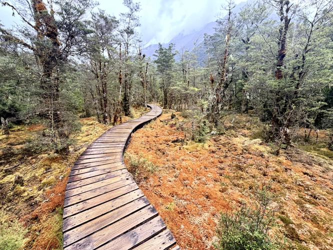 Beautiful surroundings