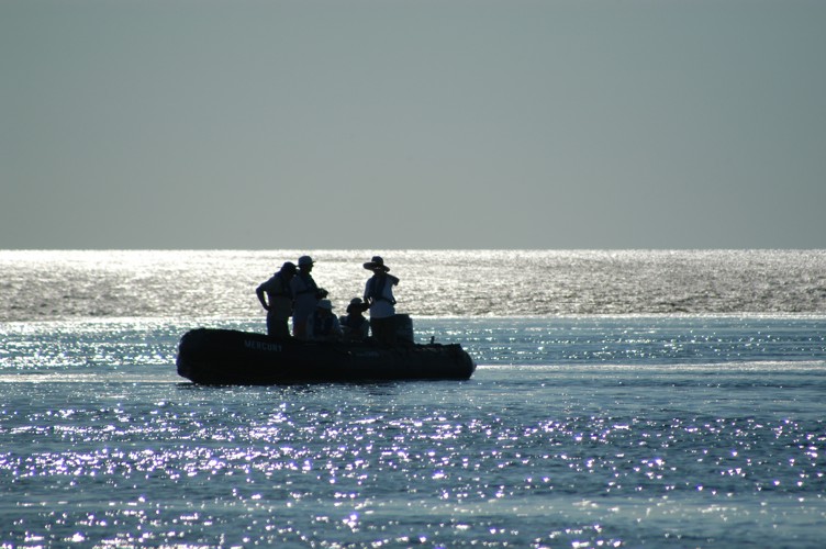 Montgomery Reef is a reef off the Kimberley coast of Western Australia. It is situated at the south western end of Camden Sound and surrounds Yawajaba With its total area of 400 square kilometres, it is the world's largest inshore reef